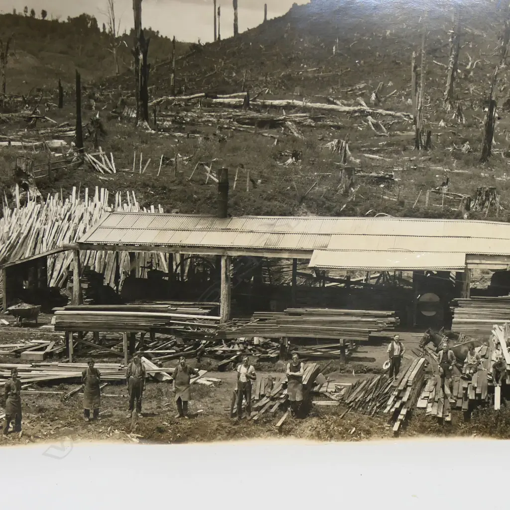2 VINTAGE PANORAMIC NZ  PHOTOS of a bush sawmill W.580 & 1160mm Image 1++